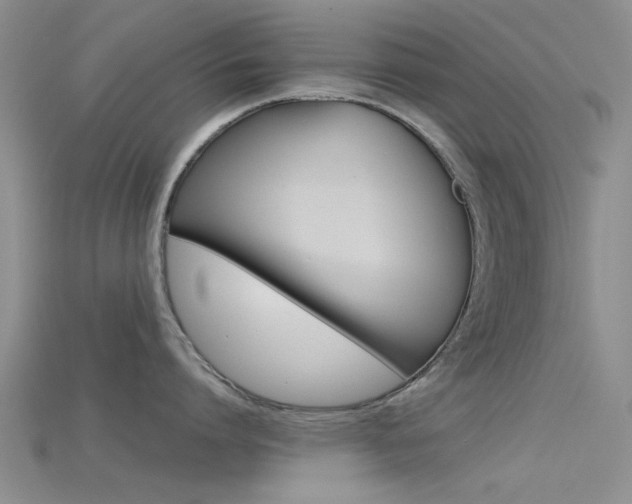 X0000115740864200911121101