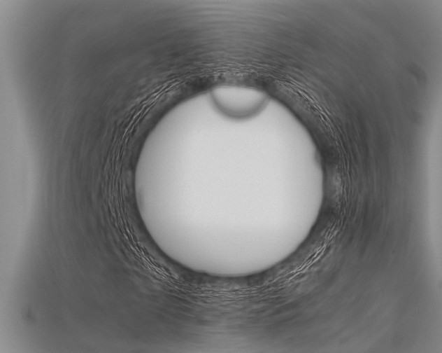 X0000115740865200911121100