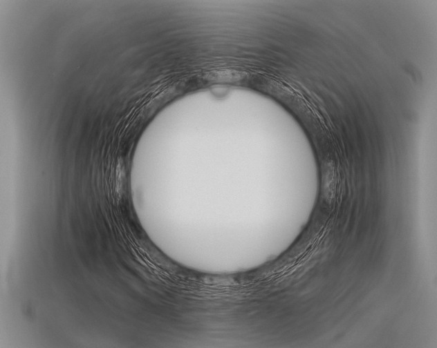 X0000115740866200911121100
