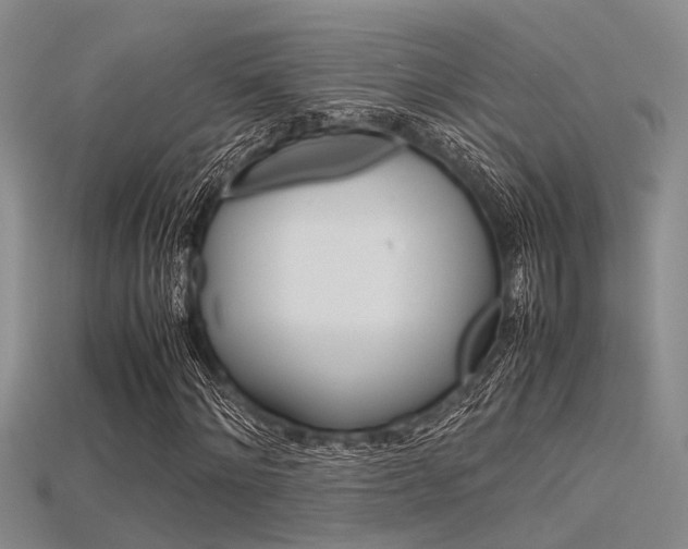 X0000115740868200911121100