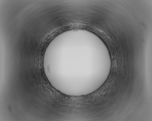 X0000115740870200911121100