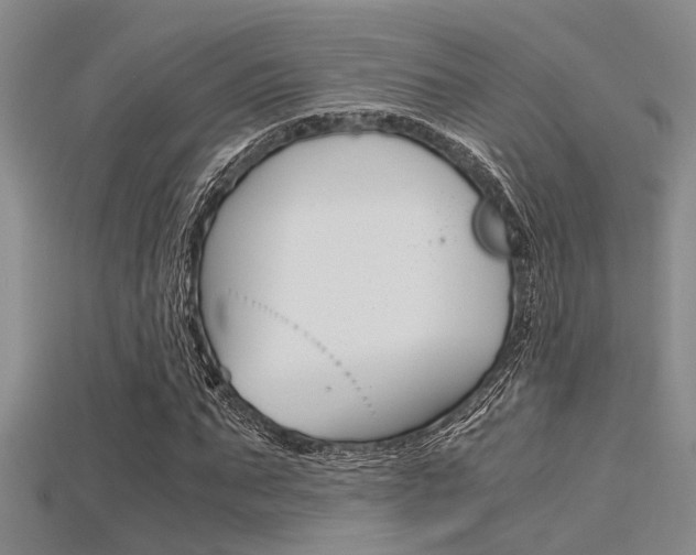 X0000115740871200911121100