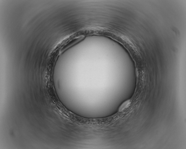 X0000115740872200911121100