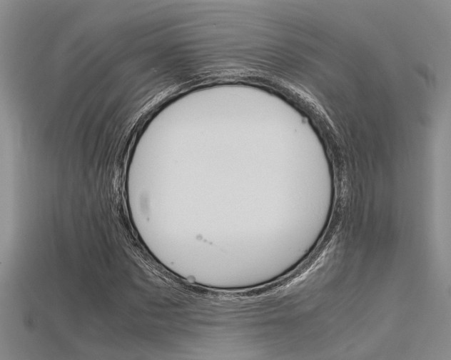 X0000115740873200911121100