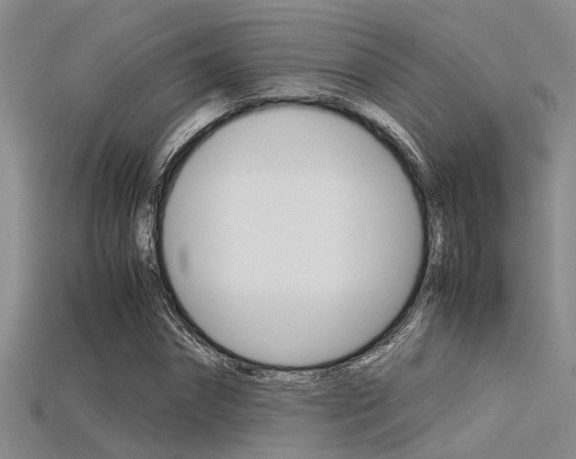 X0000115740874200911121100