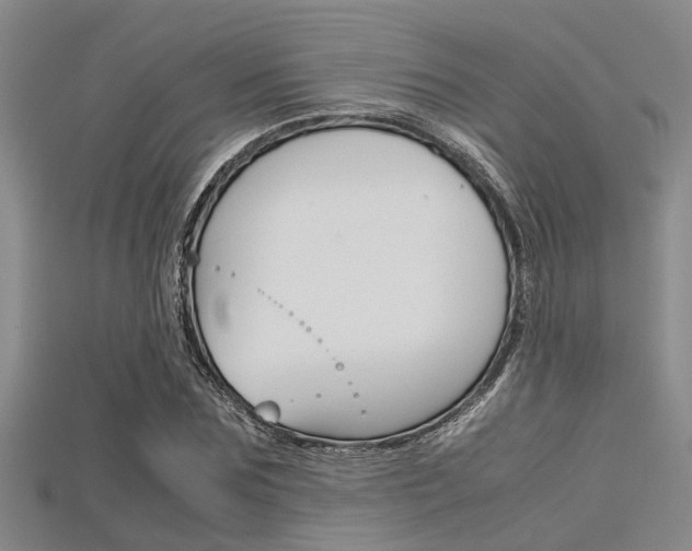 X0000115740875200911121100