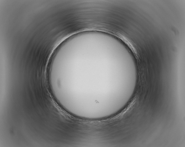 X0000115740876200911121100