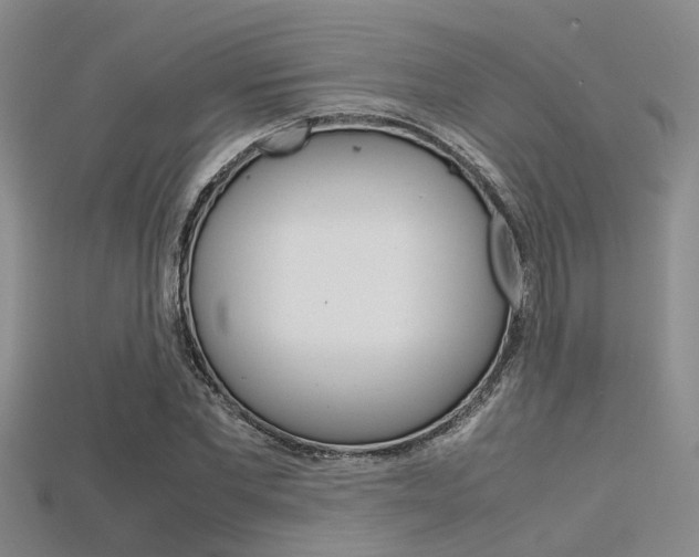 X0000115740877200911121100