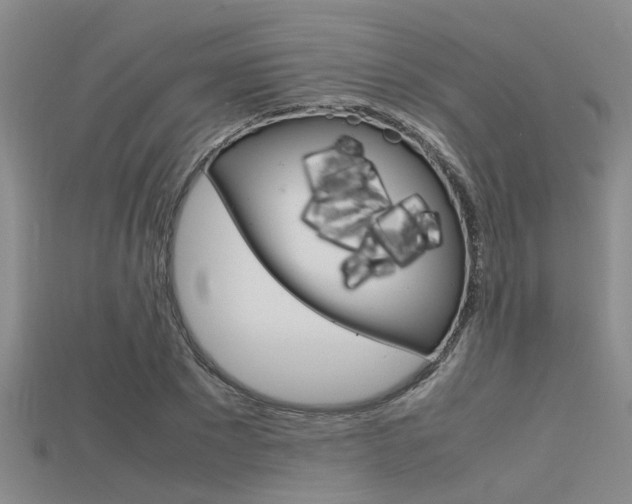X0000115740881200911121100