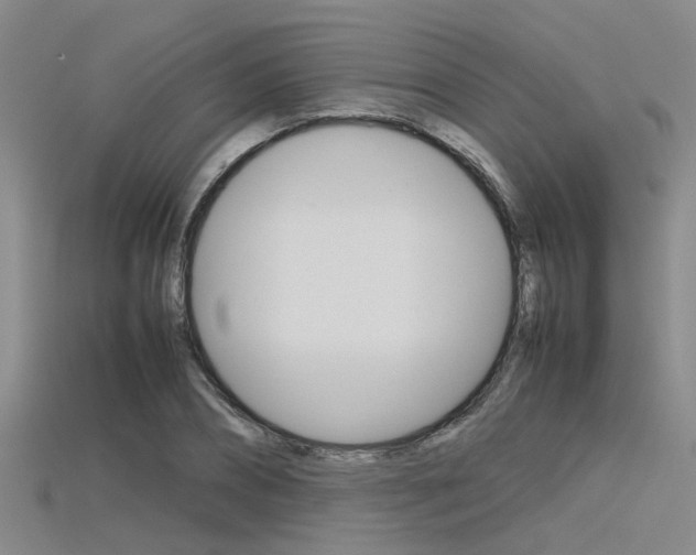 X0000115740882200911121100
