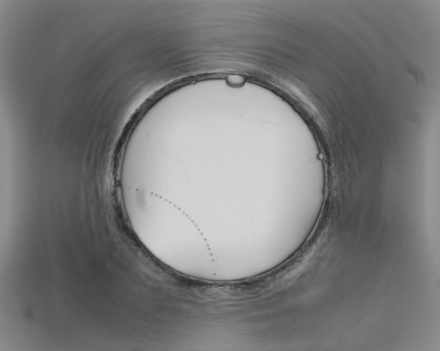 X0000115740883200911121100