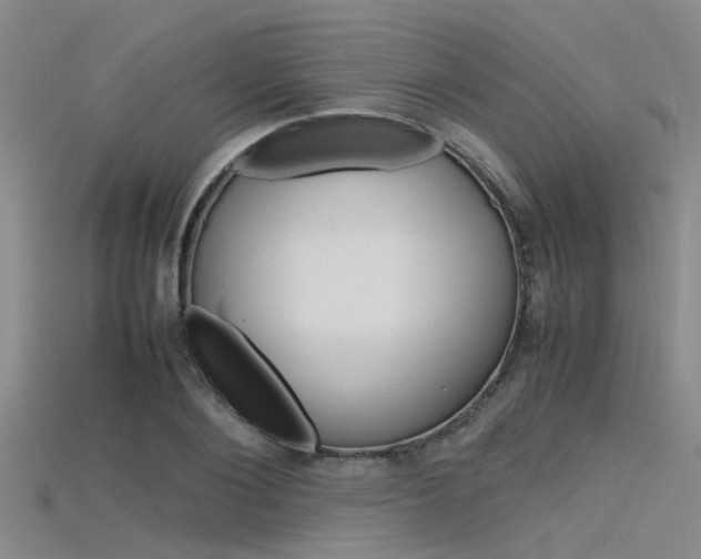 X0000115740884200911121100