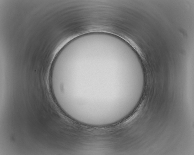 X0000115740885200911121100