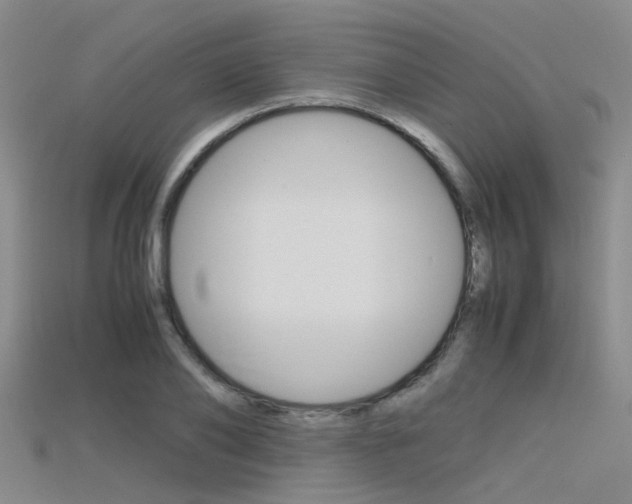 X0000115740886200911121100