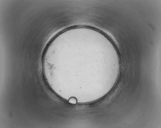 X0000115740887200911121100