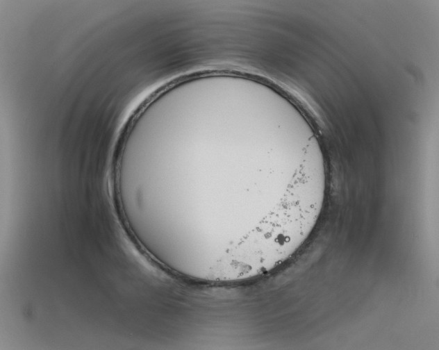X0000115740888200911121100