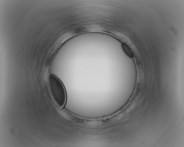 X0000115740889200911121100