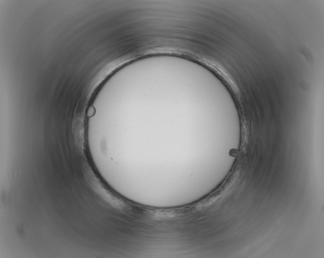X0000115740890200911121100