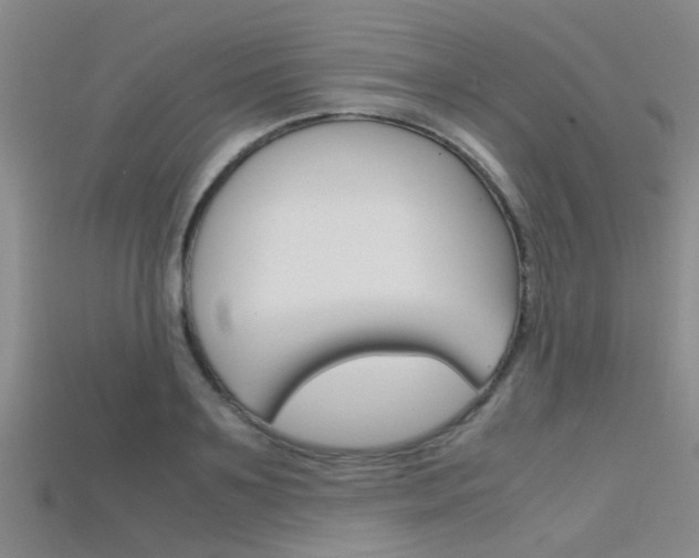 X0000115740891200911121100