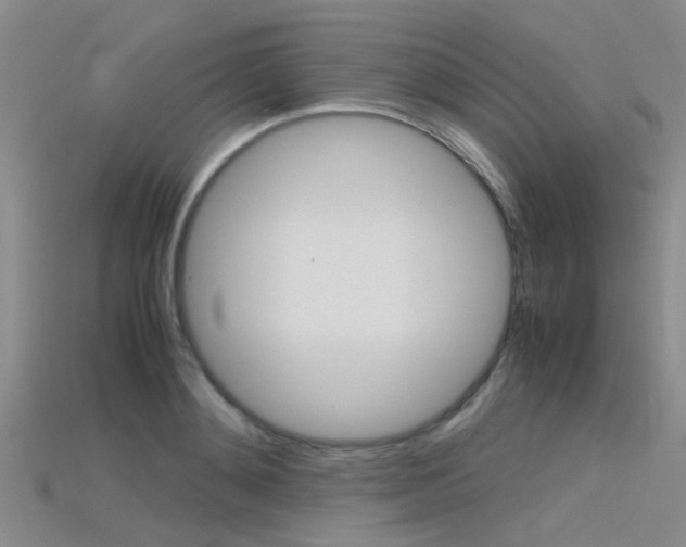 X0000115740892200911121100