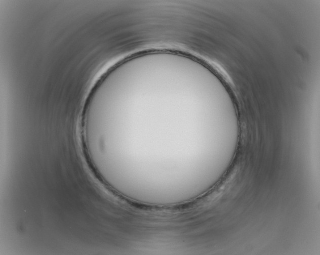 X0000115740895200911121100