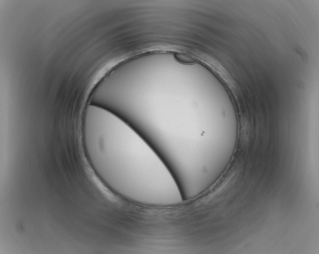 X0000115740898200911121100