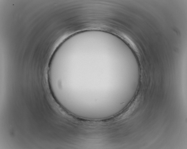 X0000115740899200911121100
