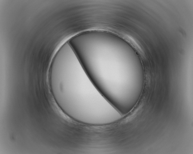X0000115740900200911121100