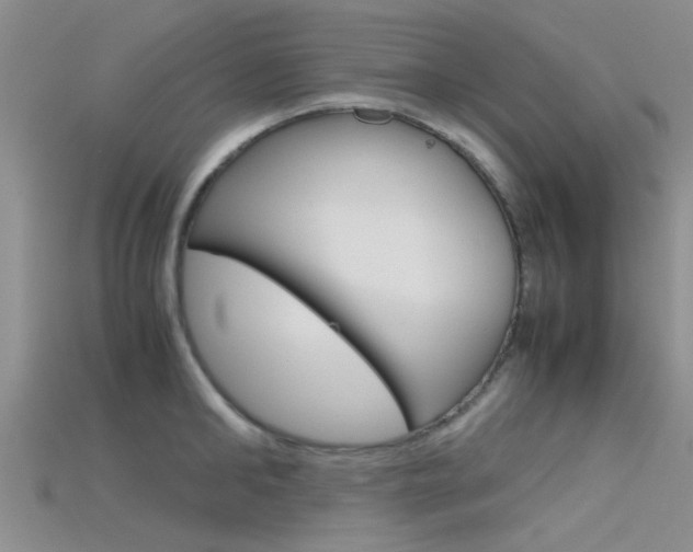 X0000115740902200911121100