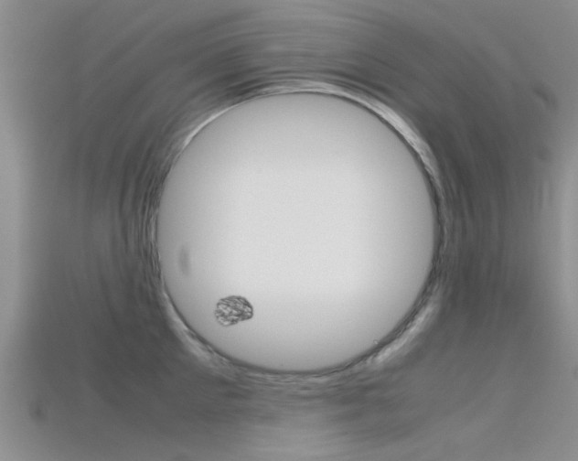 X0000115740905200911121100