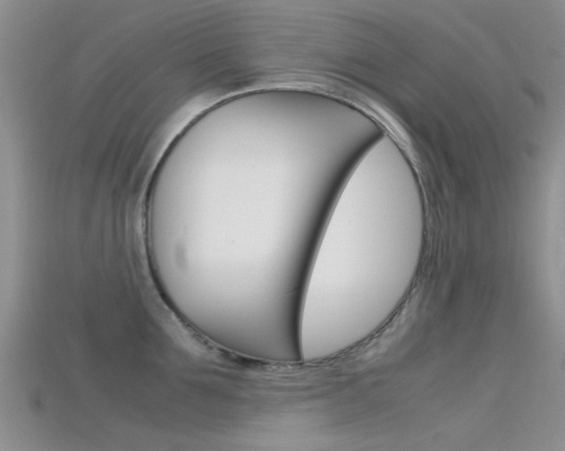 X0000115740907200911121100