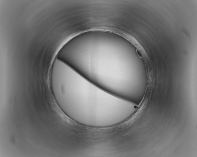 X0000115740908200911121059