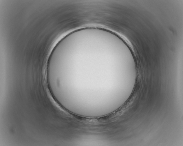 X0000115740911200911121059