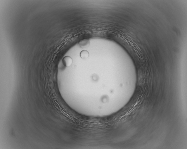 X0000115740913200911121059