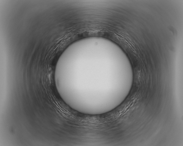X0000115740914200911121059