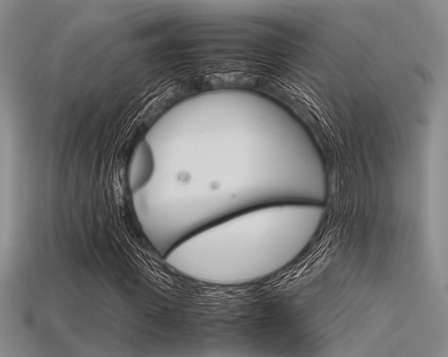 X0000115740915200911121059