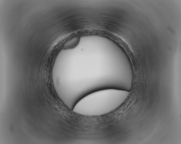 X0000115740919200911121059