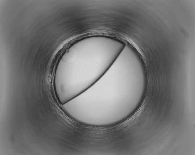 X0000115740923200911121059