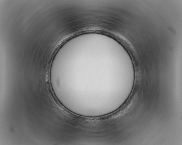 X0000115740929200911121059