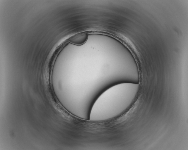 X0000115740931200911121059