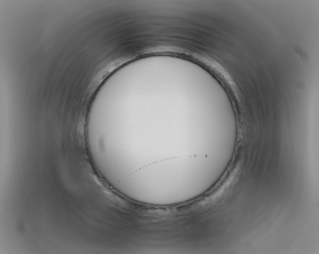 X0000115740937200911121059