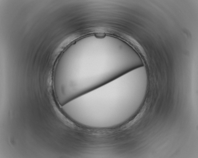 X0000115740938200911121059