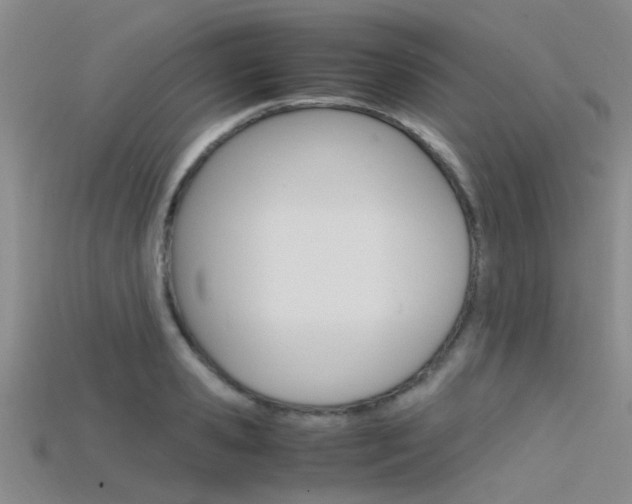 X0000115740941200911121059