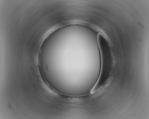 X0000115740946200911121059