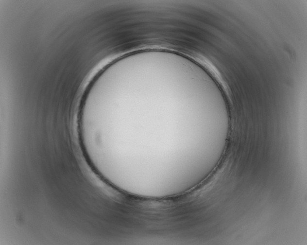 X0000115740947200911121059