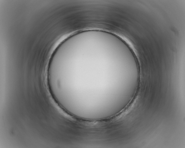 X0000115740949200911121059