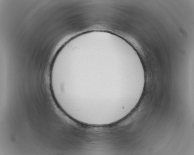 X0000115740950200911121059