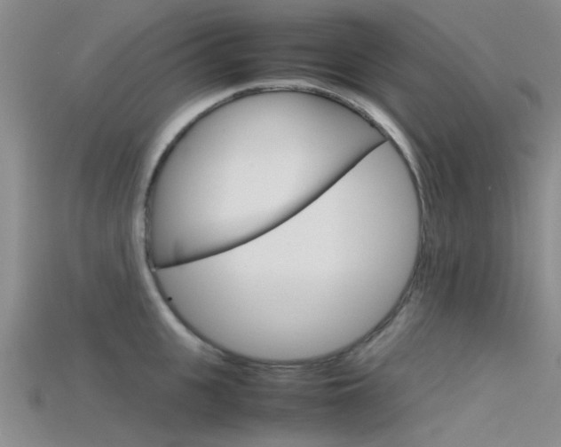 X0000115740951200911121059