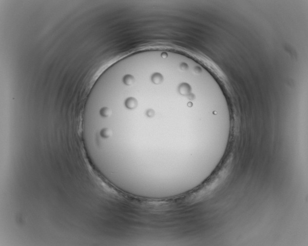 X0000115740953200911121059