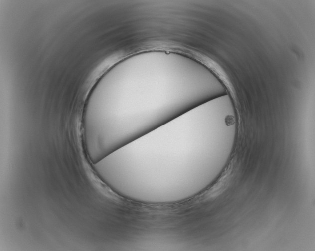 X0000115740954200911121059